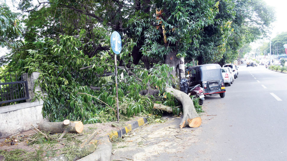 Dasara with pothole-filled garbage-dumped roads!