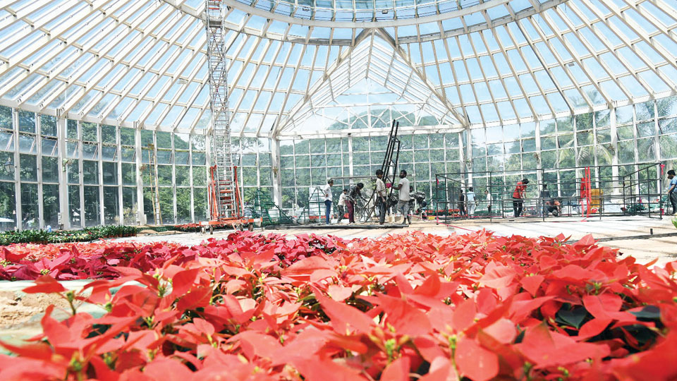 Democracy in bloom at Dasara Flower Show