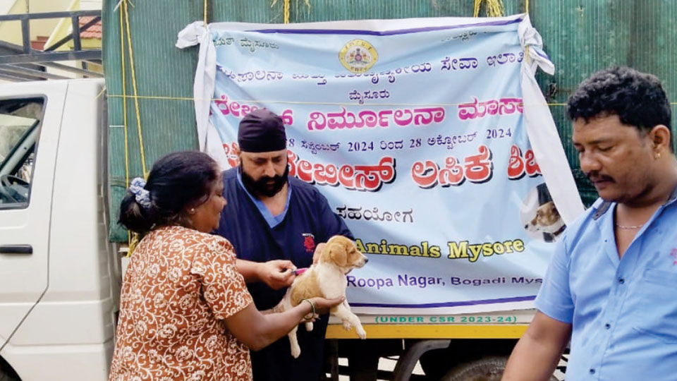 Free anti-rabies vaccination camps mark World Rabies Day in city