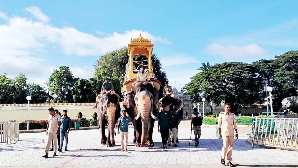 Prashanth carries Wooden Howdah successfully