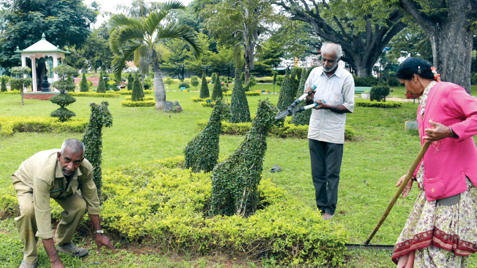 Dasara Flower Show 2024 to dazzle with one lakh blooms