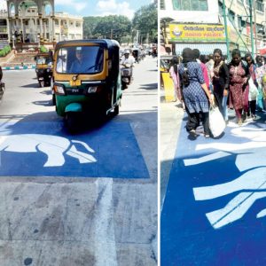 Elephant paintings on road draws a flak