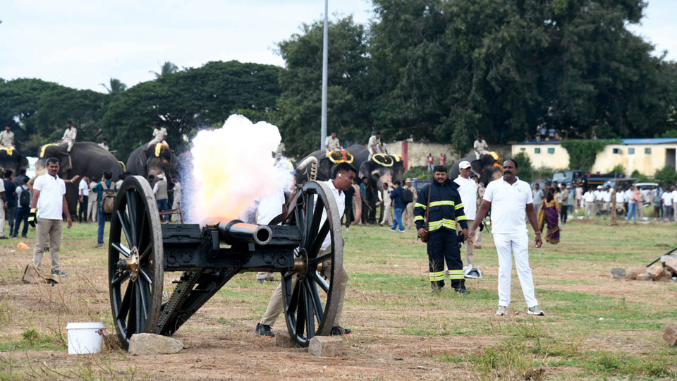 First round of cannon firing drill for Dasara jumbos, horses held