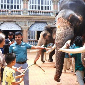 Navarathri at Mysore Palace: Kanjan chosen as Pattada Aane, Bheema as Nishane Aane for rituals