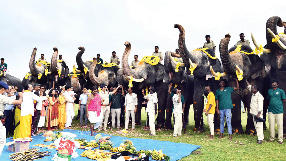 Ganesha Chaturthi: Puja performed to Dasara elephants