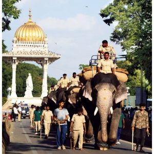 Ekalavya impresses in Dasara rehearsal