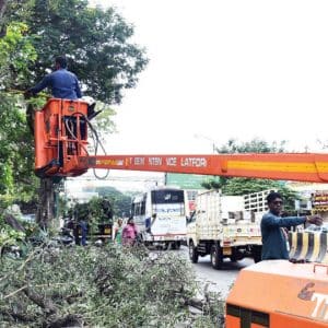 Pruning of tree branches on Jumboo Savari route begins