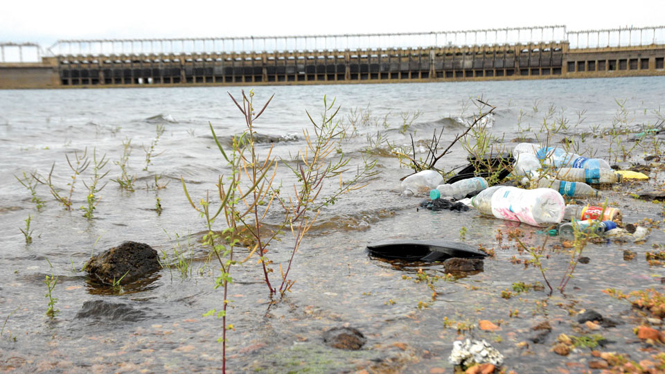 Cauvery, Kapila, Lakshmanatheertha among most polluted rivers: Panel