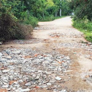 Neglected road in Dattagalli