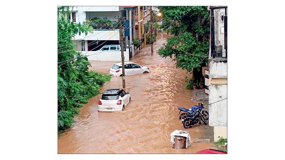 Rain wreaks havoc in Bengaluru