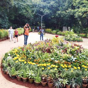 Dasara Flower Show at Kukkarahalli Lake