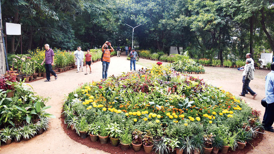 Dasara Flower Show at Kukkarahalli Lake