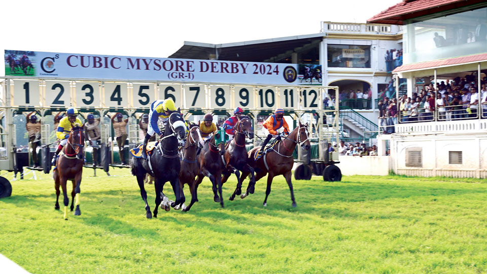 ‘Mandarino’ wins Cubic Mysore Derby