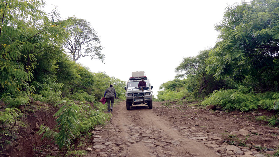 Trekking at scenic Nagamale range near MM Hills re-starts