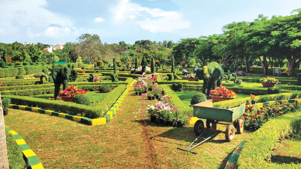 Flower Show at Lingambudhi Botanical Garden from tomorrow