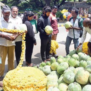 Jumboo Savari on Oct. 12