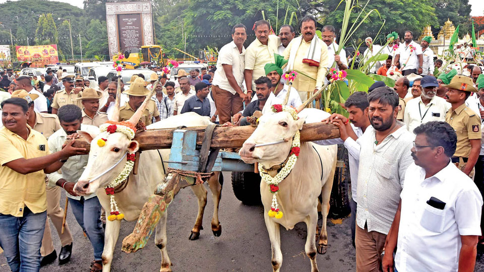 ‘Agriculture can be profitable using modern technologies’