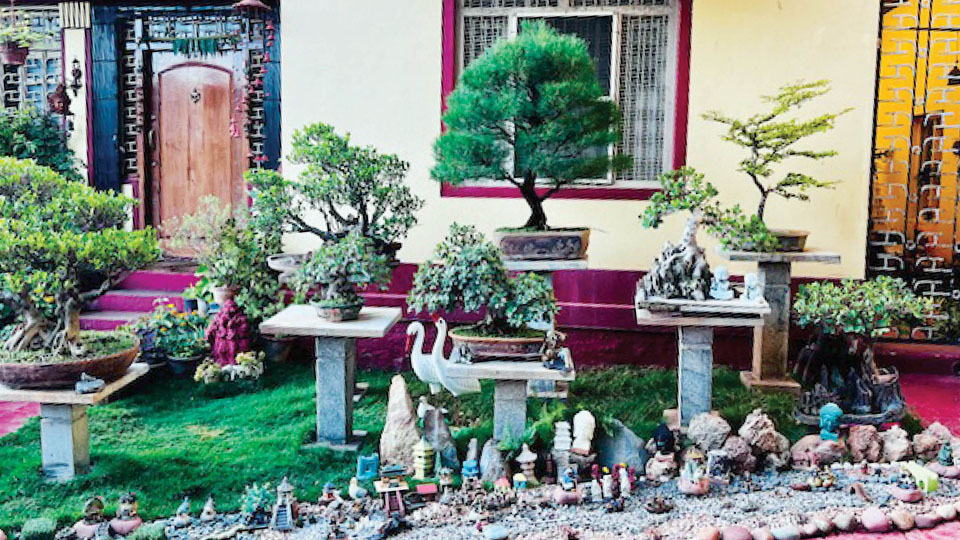 Dasara Home Garden contest: Wins ‘Outstanding Garden’ prize for 27th consecutive year