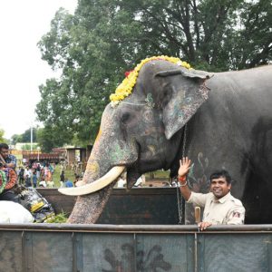 Jumbos leave Mysuru