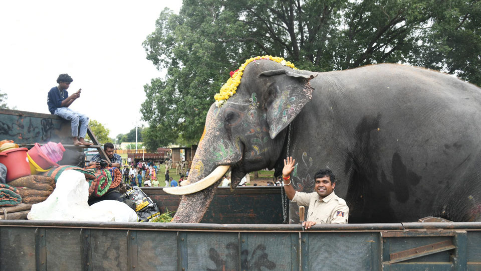 Jumbos leave Mysuru