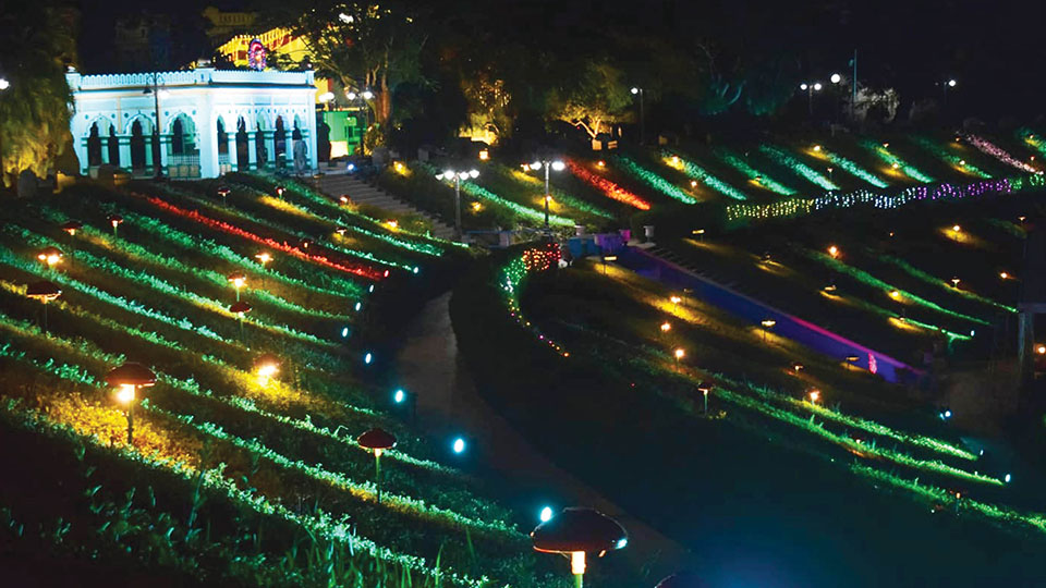 Flower show, illumination at Brindavan Gardens till Oct. 20