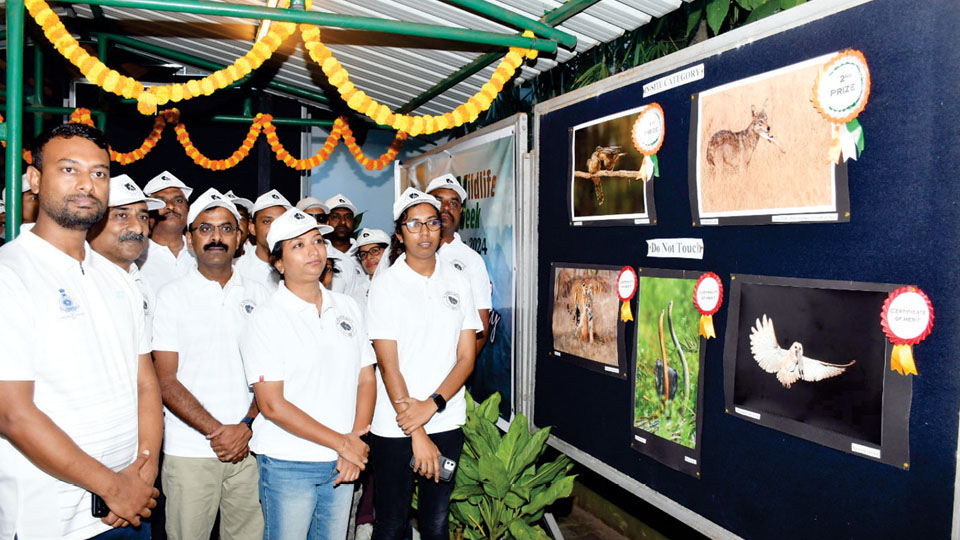 Wildlife Week at Zoo