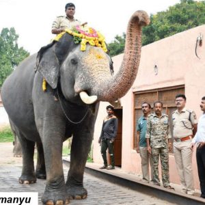 Abhimanyu gains 260 kgs; Bheema leads with 435 kgs