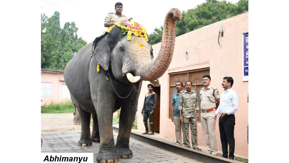 Abhimanyu gains 260 kgs; Bheema leads with 435 kgs