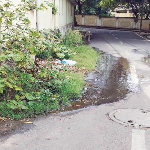 Urgent action needed on street drainage leak