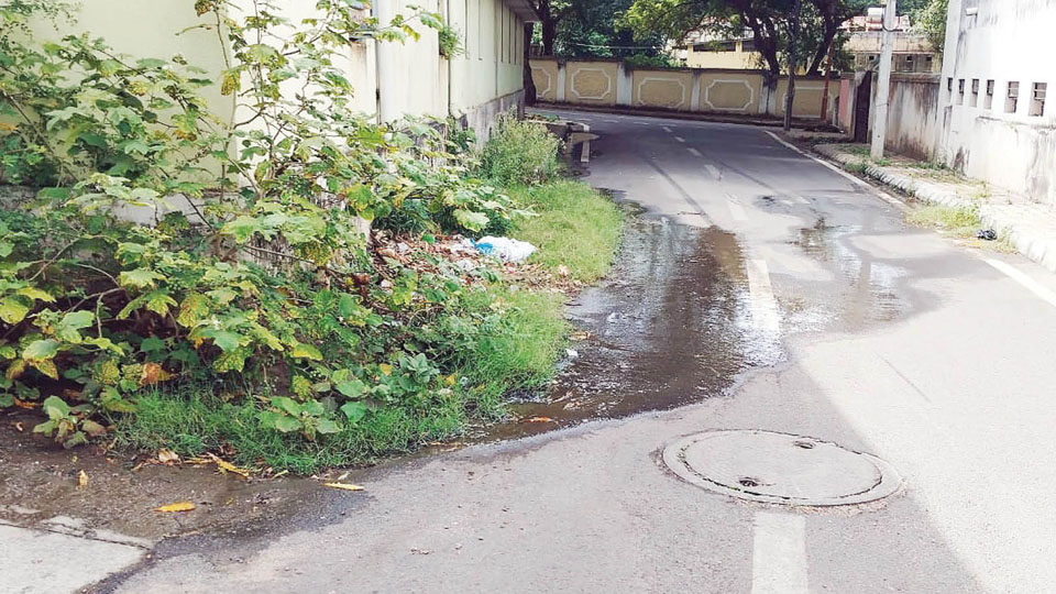 Urgent action needed on street drainage leak