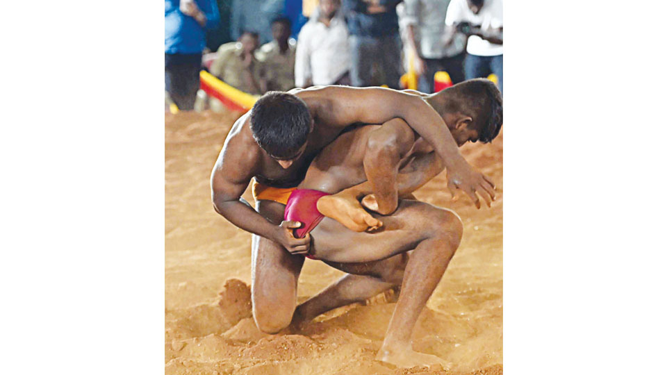 Wrestlers to lock horns for Dasara titles