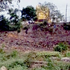 A Goshale atop Chamundi Hill: NGO protests