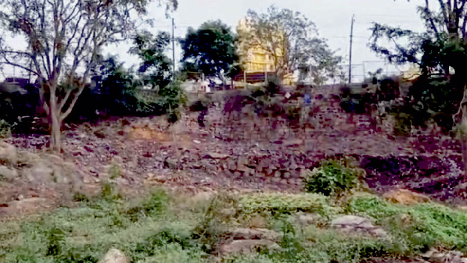 A Goshale atop Chamundi Hill: NGO protests