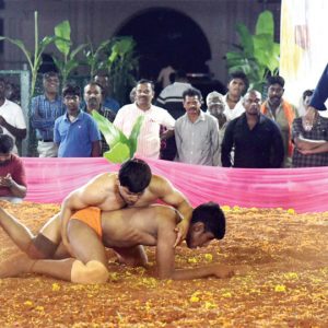 Wrestling tournament attracts huge crowd