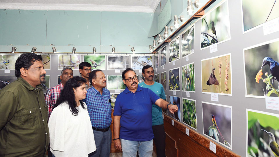 ‘Wings and Feathers’ Photo expo of Indian birds begins