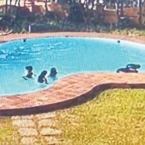 Three city girls drown in swimming pool at Mangaluru