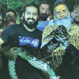 Indian Rock Python rescued by Snake Shyam at Vijayanagar