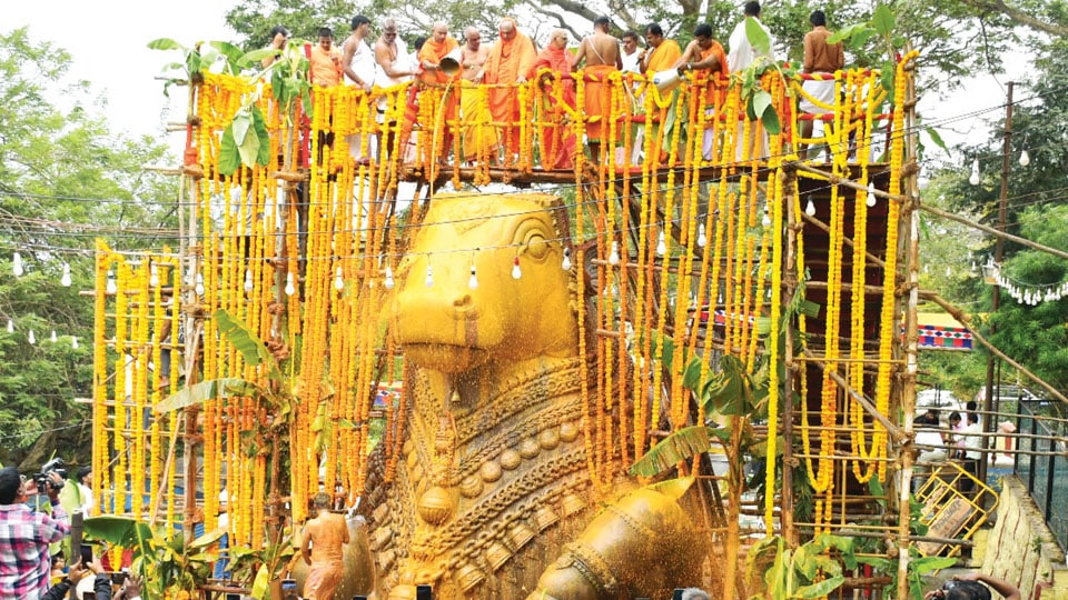 Mahabhisheka performed to Nandi atop Chamundi Hill