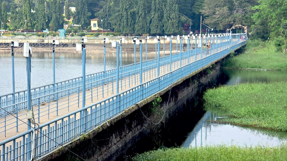 Leakage in bridge: No boating at Brindavan Gardens 