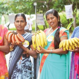 3-day Banana Festival in city from tomorrow