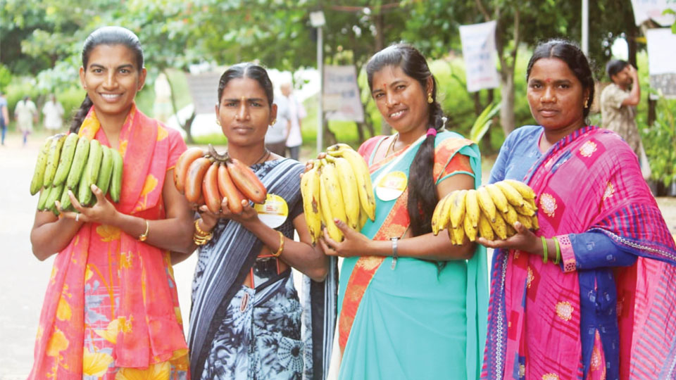 3-day Banana Festival in city from tomorrow