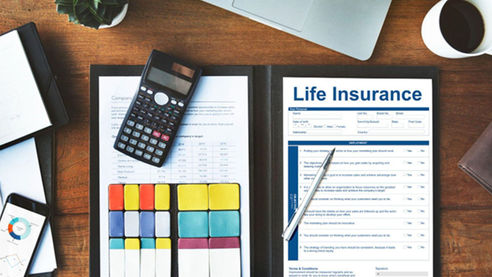 Role of a Term Life Insurance Calculator in Finding the Best Term Insurance Plan