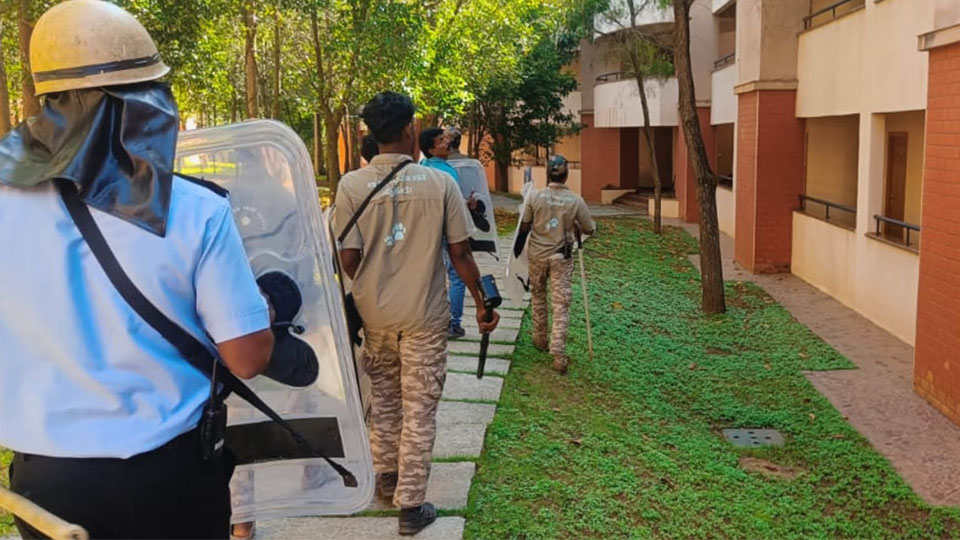 Leopard spotted at Infosys campus