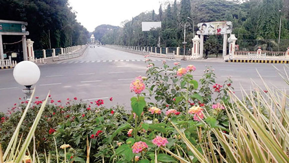 Miscreants assault trader on Albert Victor Road