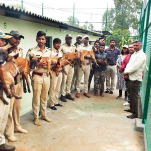 Tracker Dog Squad Training Centre opens at Bandipur