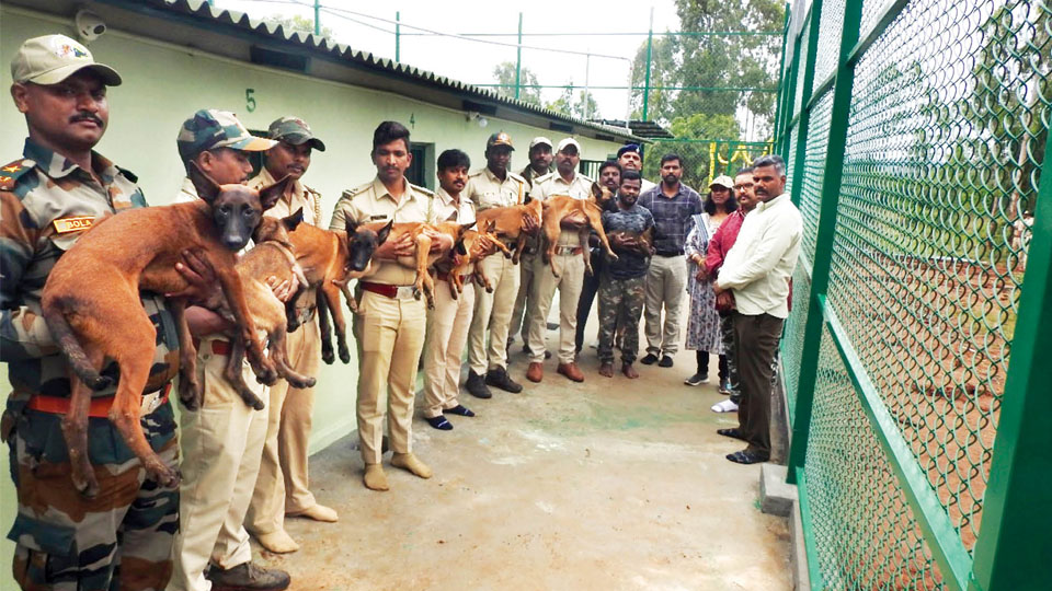 Tracker Dog Squad Training Centre opens at Bandipur