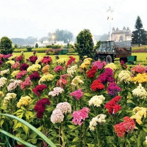 11-day Flower Show at Mysore Palace from Dec. 21