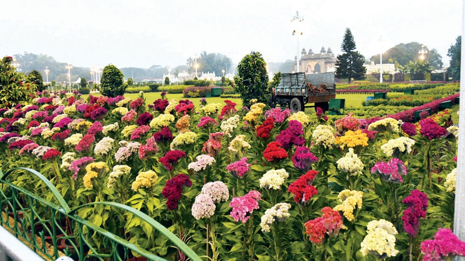 11-day Flower Show at Mysore Palace from Dec. 21