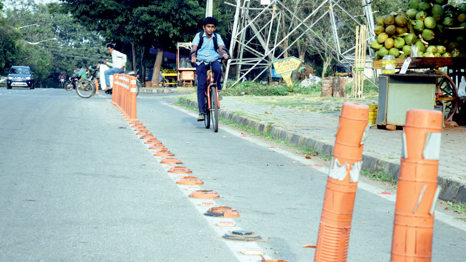 Vandals target city cycle lanes, damage bollards