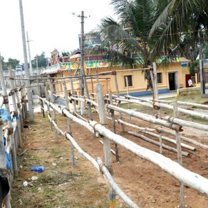 Siddalingapura gears up for Shashti Jatra tomorrow